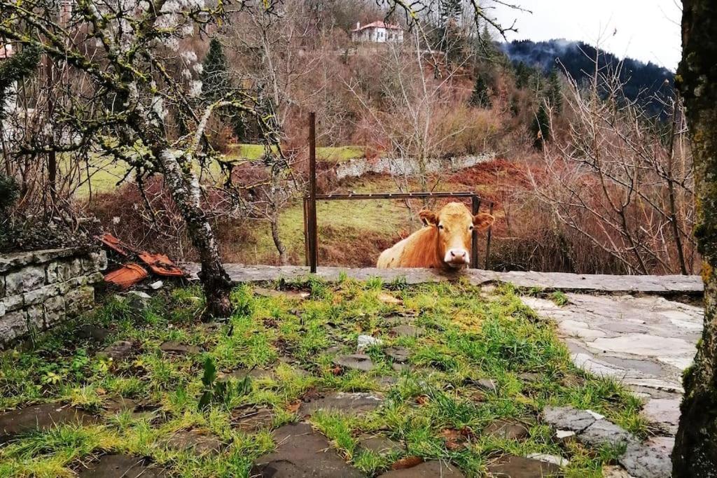 Sweet Home Neraïdochóri Εξωτερικό φωτογραφία